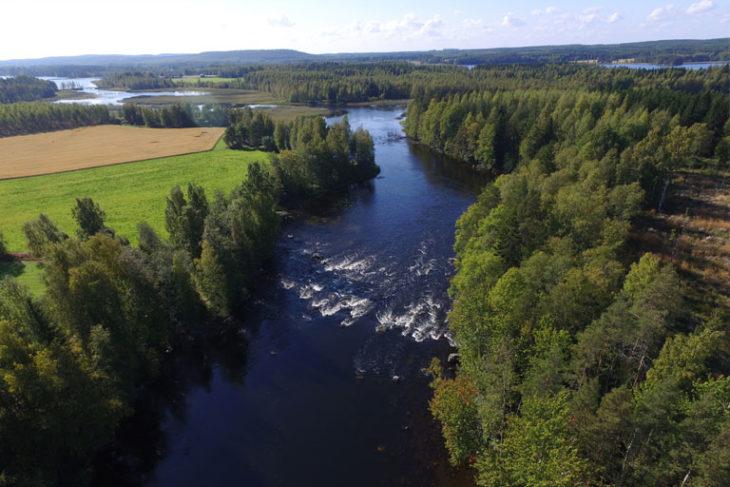 Ilmakuva koskesta ja joesta sekä sitä reunustavasta metsästä. Metsän takana näkyy vihreää ja oljenruskeaa peltoa. 